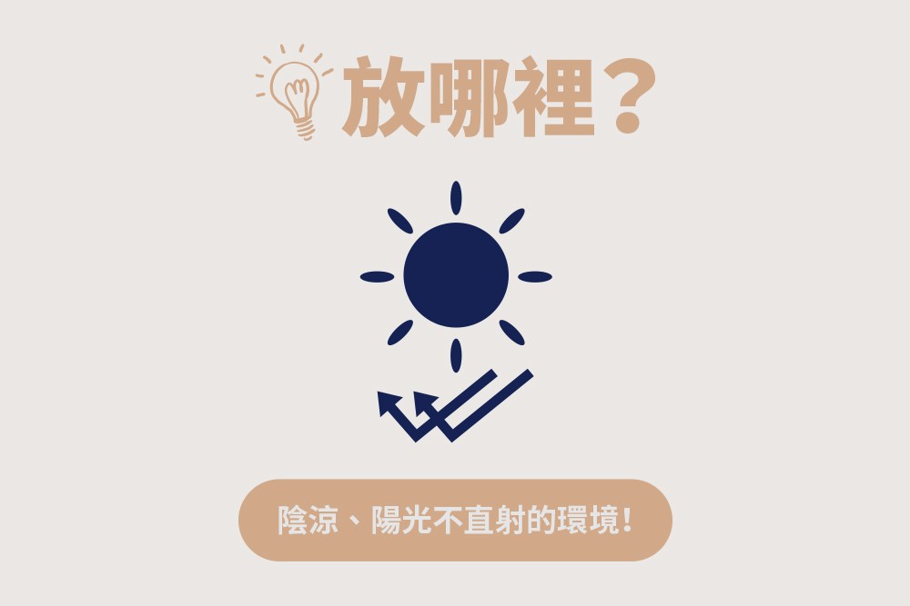 面膜放哪裡?