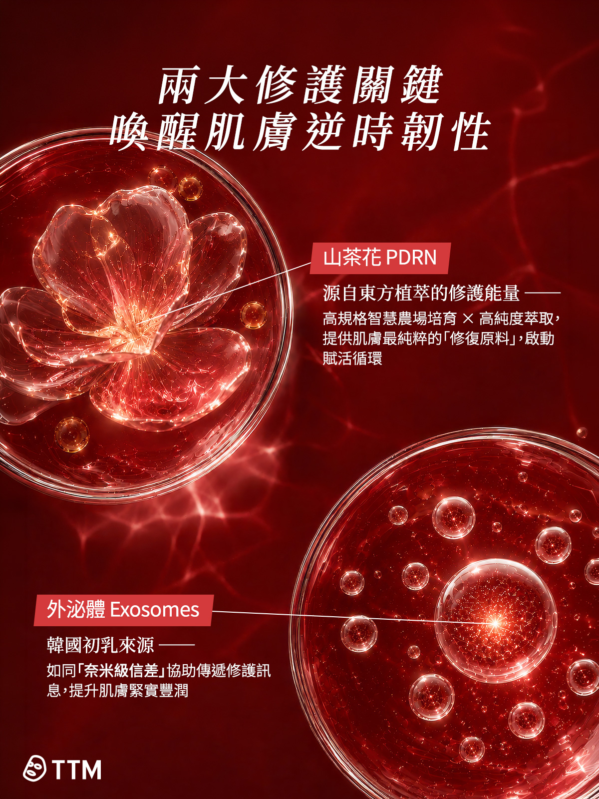 兩大修護關鍵，喚醒肌膚逆時韌性