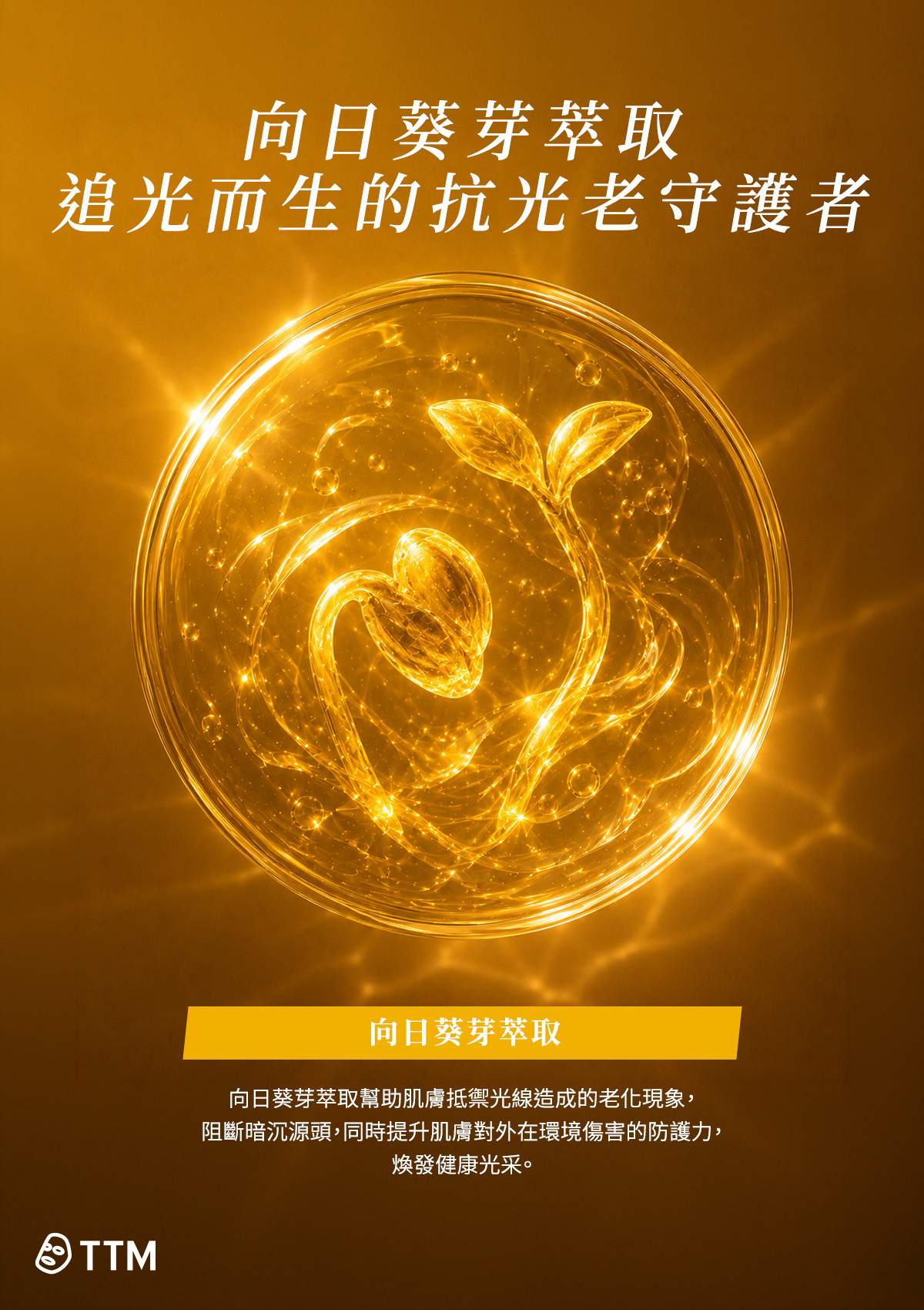 向日葵芽萃取 追光而生的抗光老守護者